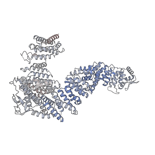23088_7kzs_V_v1-1
Structure of the human fanconi anaemia Core-UBE2T-ID-DNA complex in open state