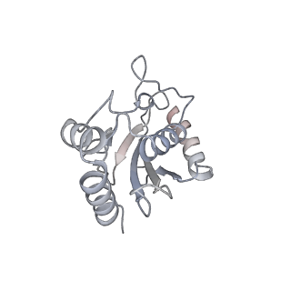 23088_7kzs_X_v1-1
Structure of the human fanconi anaemia Core-UBE2T-ID-DNA complex in open state