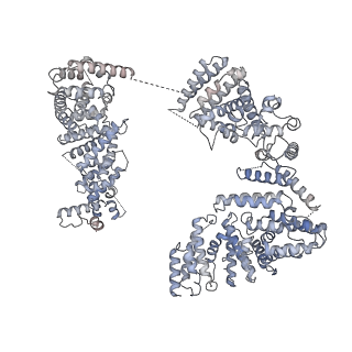 23089_7kzt_A_v1-1
Structure of the human fanconi anaemia Core-UBE2T-ID-DNA complex in intermediate state