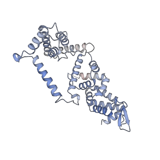 23089_7kzt_F_v1-1
Structure of the human fanconi anaemia Core-UBE2T-ID-DNA complex in intermediate state