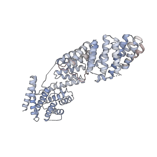 23089_7kzt_H_v1-1
Structure of the human fanconi anaemia Core-UBE2T-ID-DNA complex in intermediate state