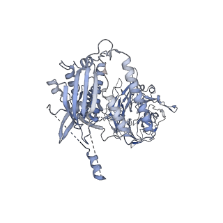 23089_7kzt_P_v1-1
Structure of the human fanconi anaemia Core-UBE2T-ID-DNA complex in intermediate state