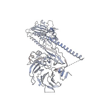 23089_7kzt_Q_v1-1
Structure of the human fanconi anaemia Core-UBE2T-ID-DNA complex in intermediate state