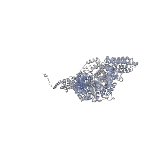 23089_7kzt_S_v1-1
Structure of the human fanconi anaemia Core-UBE2T-ID-DNA complex in intermediate state