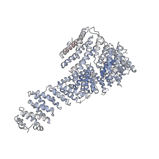 23089_7kzt_U_v1-1
Structure of the human fanconi anaemia Core-UBE2T-ID-DNA complex in intermediate state