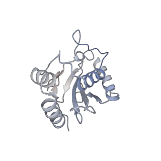 23089_7kzt_X_v1-1
Structure of the human fanconi anaemia Core-UBE2T-ID-DNA complex in intermediate state