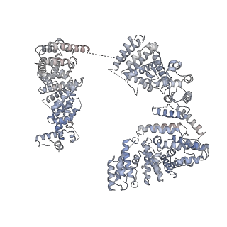 23090_7kzv_A_v1-1
Structure of the human fanconi anaemia Core-UBE2T-ID-DNA complex in closed state