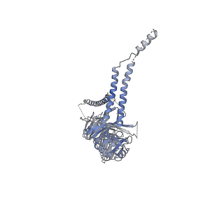 23090_7kzv_B_v1-1
Structure of the human fanconi anaemia Core-UBE2T-ID-DNA complex in closed state