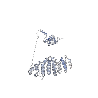 23090_7kzv_E_v1-1
Structure of the human fanconi anaemia Core-UBE2T-ID-DNA complex in closed state
