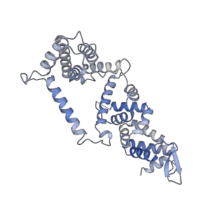 23090_7kzv_F_v1-1
Structure of the human fanconi anaemia Core-UBE2T-ID-DNA complex in closed state