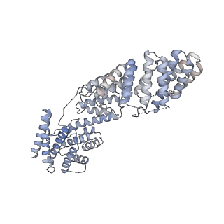 23090_7kzv_H_v1-1
Structure of the human fanconi anaemia Core-UBE2T-ID-DNA complex in closed state