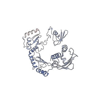 23090_7kzv_L_v1-1
Structure of the human fanconi anaemia Core-UBE2T-ID-DNA complex in closed state