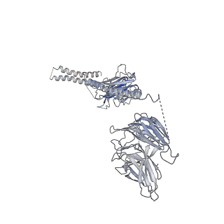 23090_7kzv_O_v1-1
Structure of the human fanconi anaemia Core-UBE2T-ID-DNA complex in closed state