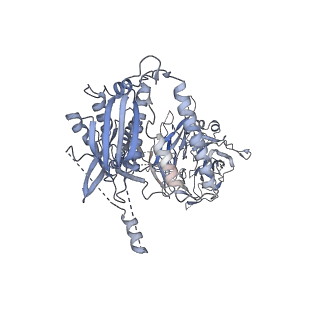 23090_7kzv_P_v1-1
Structure of the human fanconi anaemia Core-UBE2T-ID-DNA complex in closed state