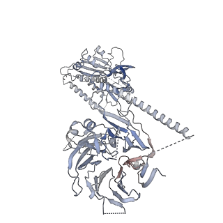 23090_7kzv_Q_v1-1
Structure of the human fanconi anaemia Core-UBE2T-ID-DNA complex in closed state