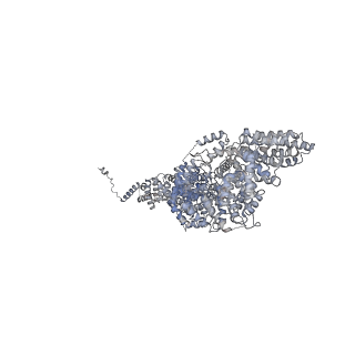23090_7kzv_S_v1-1
Structure of the human fanconi anaemia Core-UBE2T-ID-DNA complex in closed state