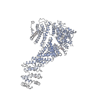 23090_7kzv_U_v1-1
Structure of the human fanconi anaemia Core-UBE2T-ID-DNA complex in closed state