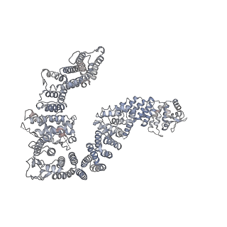 23090_7kzv_V_v1-1
Structure of the human fanconi anaemia Core-UBE2T-ID-DNA complex in closed state