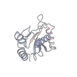 23090_7kzv_X_v1-1
Structure of the human fanconi anaemia Core-UBE2T-ID-DNA complex in closed state