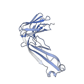 23092_7kzx_C_v1-1
Cryo-EM structure of YiiP-Fab complex in Apo state