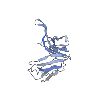 23092_7kzx_D_v1-1
Cryo-EM structure of YiiP-Fab complex in Apo state