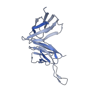 23092_7kzx_F_v1-1
Cryo-EM structure of YiiP-Fab complex in Apo state