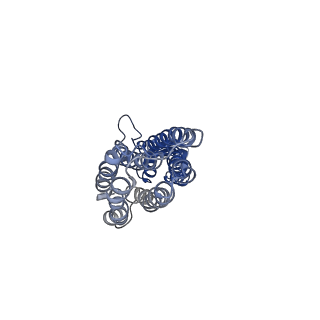 23093_7kzz_A_v1-1
Cryo-EM structure of YiiP-Fab complex in Holo state