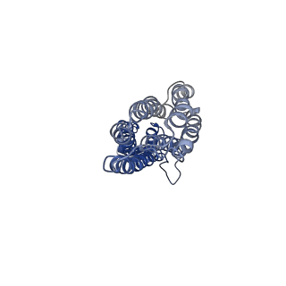 23093_7kzz_B_v1-1
Cryo-EM structure of YiiP-Fab complex in Holo state