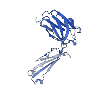 23093_7kzz_C_v1-1
Cryo-EM structure of YiiP-Fab complex in Holo state