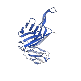 23093_7kzz_D_v1-1
Cryo-EM structure of YiiP-Fab complex in Holo state