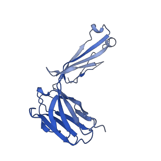 23093_7kzz_E_v1-1
Cryo-EM structure of YiiP-Fab complex in Holo state