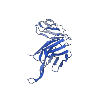 23093_7kzz_F_v1-1
Cryo-EM structure of YiiP-Fab complex in Holo state