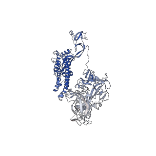 23094_7l02_A_v1-2
Cryo-EM structure of SARS-CoV-2 2P S ectodomain bound to one copy of domain-swapped antibody 2G12