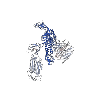 23094_7l02_B_v1-2
Cryo-EM structure of SARS-CoV-2 2P S ectodomain bound to one copy of domain-swapped antibody 2G12
