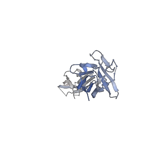 23094_7l02_M_v1-2
Cryo-EM structure of SARS-CoV-2 2P S ectodomain bound to one copy of domain-swapped antibody 2G12
