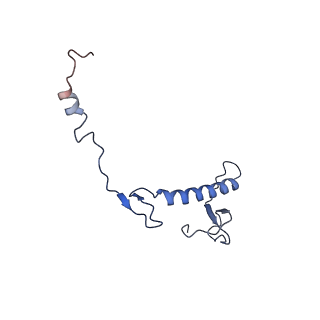 23096_7l08_0_v1-1
Cryo-EM structure of the human 55S mitoribosome-RRFmt complex.