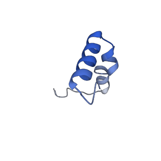 23096_7l08_2_v1-1
Cryo-EM structure of the human 55S mitoribosome-RRFmt complex.