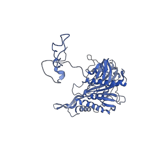 23096_7l08_5_v1-1
Cryo-EM structure of the human 55S mitoribosome-RRFmt complex.