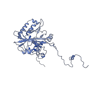 23096_7l08_6_v1-1
Cryo-EM structure of the human 55S mitoribosome-RRFmt complex.