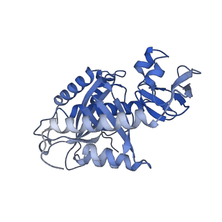 23096_7l08_7_v1-1
Cryo-EM structure of the human 55S mitoribosome-RRFmt complex.