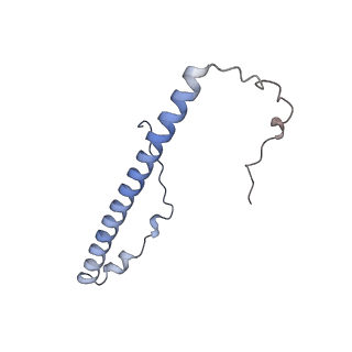 23096_7l08_8_v1-1
Cryo-EM structure of the human 55S mitoribosome-RRFmt complex.