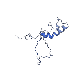 23096_7l08_9_v1-1
Cryo-EM structure of the human 55S mitoribosome-RRFmt complex.
