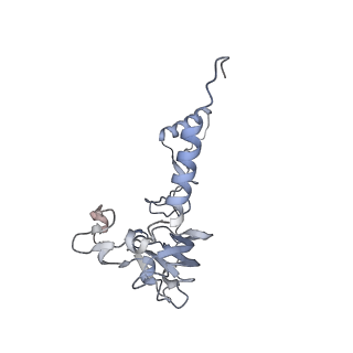 23096_7l08_A0_v1-1
Cryo-EM structure of the human 55S mitoribosome-RRFmt complex.