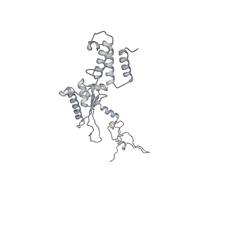 23096_7l08_A1_v1-1
Cryo-EM structure of the human 55S mitoribosome-RRFmt complex.