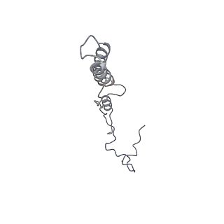 23096_7l08_A2_v1-1
Cryo-EM structure of the human 55S mitoribosome-RRFmt complex.