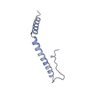 23096_7l08_A3_v1-1
Cryo-EM structure of the human 55S mitoribosome-RRFmt complex.