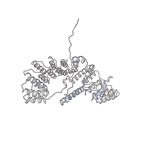 23096_7l08_A4_v1-1
Cryo-EM structure of the human 55S mitoribosome-RRFmt complex.