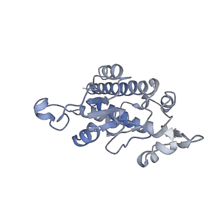 23096_7l08_AB_v1-1
Cryo-EM structure of the human 55S mitoribosome-RRFmt complex.