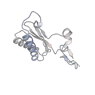 23096_7l08_AC_v1-1
Cryo-EM structure of the human 55S mitoribosome-RRFmt complex.