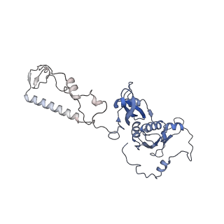 23096_7l08_AD_v1-1
Cryo-EM structure of the human 55S mitoribosome-RRFmt complex.